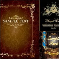 europeanstyle lace pattern vector