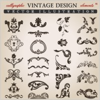 europeanstyle lace pattern vector
