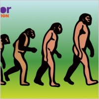 Evolution
