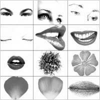 eyes and lips brush