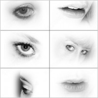 eyes and lips brush