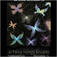 Fairy Wings Brushes
