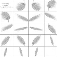 feather brush