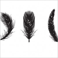 Feather Free vector for free download about (195) Free vector in ai