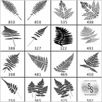 Ferns Brushes