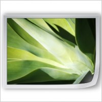Files Image