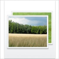 Filetype Picture