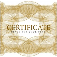 fine grain border security 01 vector
