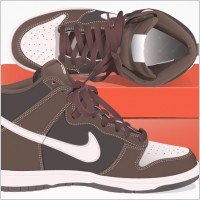 fine nike shoes vector
