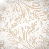 fine pattern background 04 vector