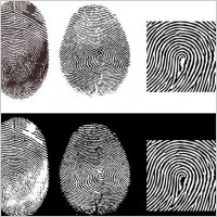 fingerprint vector 2