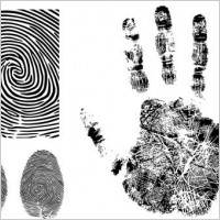 fingerprint vector 3