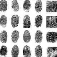 fingerprint vector 4