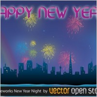 Fireworks New Year Night