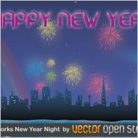 Fireworks New Year Night