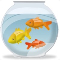Fish bowl