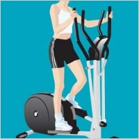 fitness vector 2