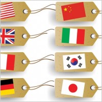 flag tag vector