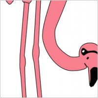 Flamino Bird Animal Eating clip art