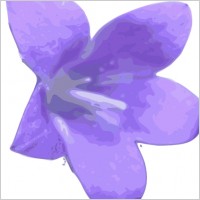 Fleur clip art