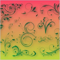 Floral Decoration Graphics