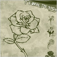 Floral Design Brushes