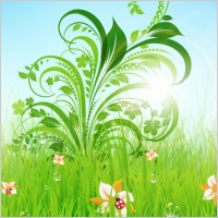 Floral Flower Vector Illustration