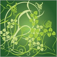 Floral Green Background Vector