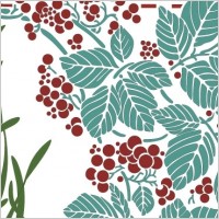 Floral illustration