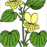 Floral Plant With Green Leaves clip art