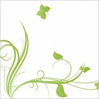 Floral with Butterfly Element Design Vector Illustration