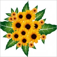 Flower Bouquet Vector