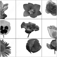 flower brush