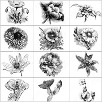 flower brush