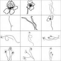 flower brush