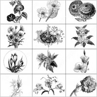 flower brush