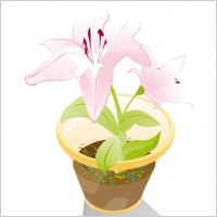 

								Flower Dream							