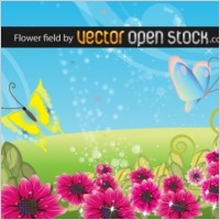 Flower field