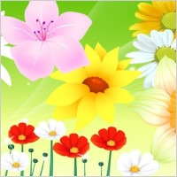 Flower Vector 