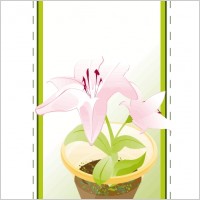 Flowerdream 