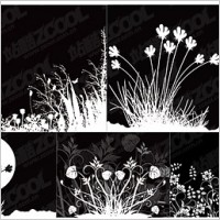 flowers and black-and-white vector
