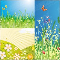 flowers and butterflies vector material