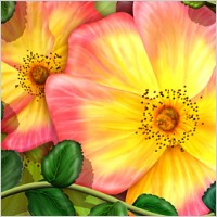Flowers and leaves