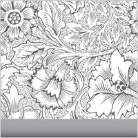 Flowers background vector