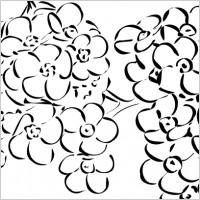 Flowers Outline clip art