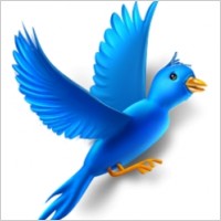 Flying bird