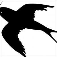 flying bird silhouette