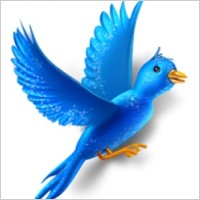 Flying bird sparkles