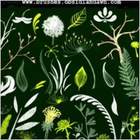 Foliage Sketches Brushes