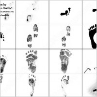 footprints brush